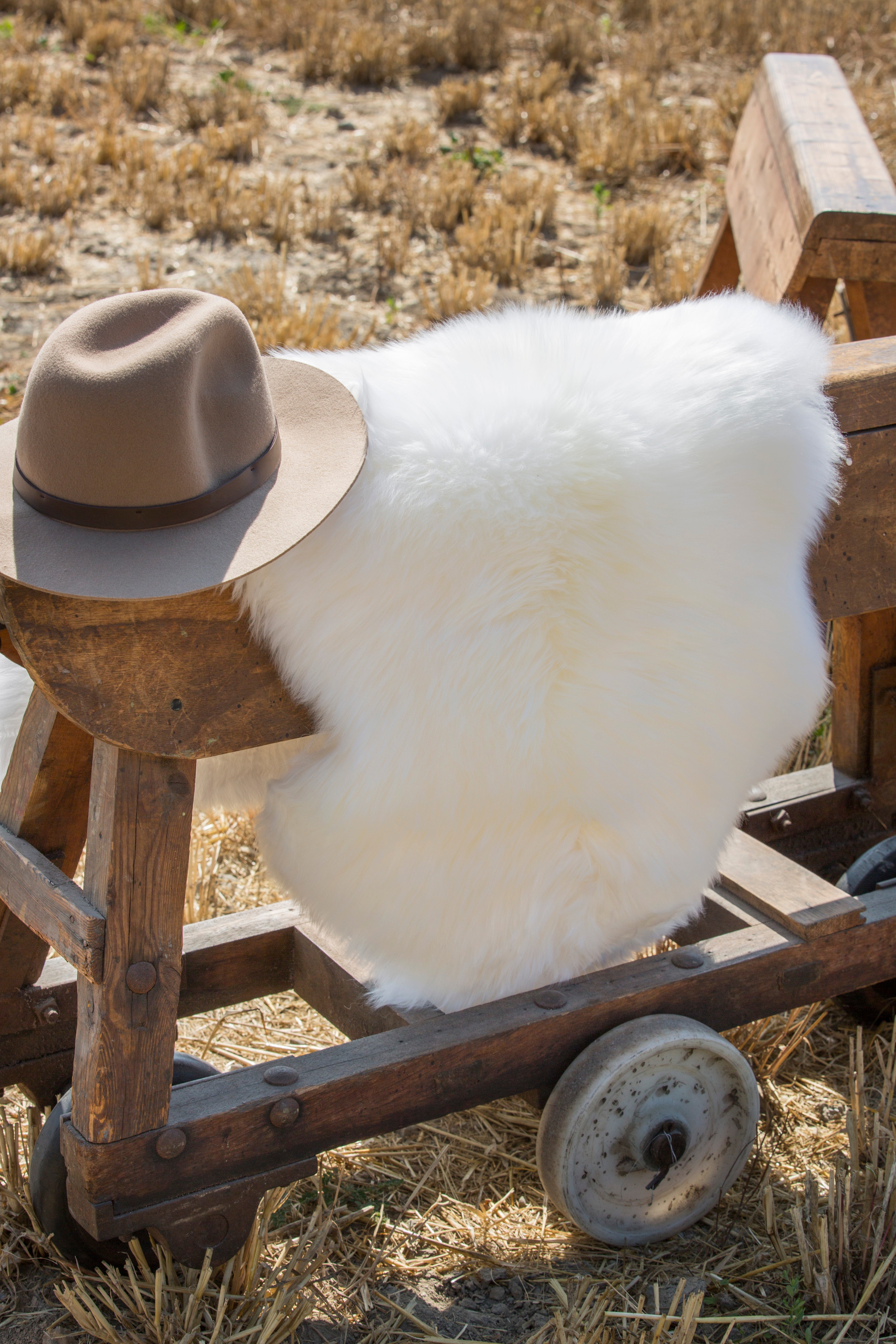 Sheep skin rug, 17