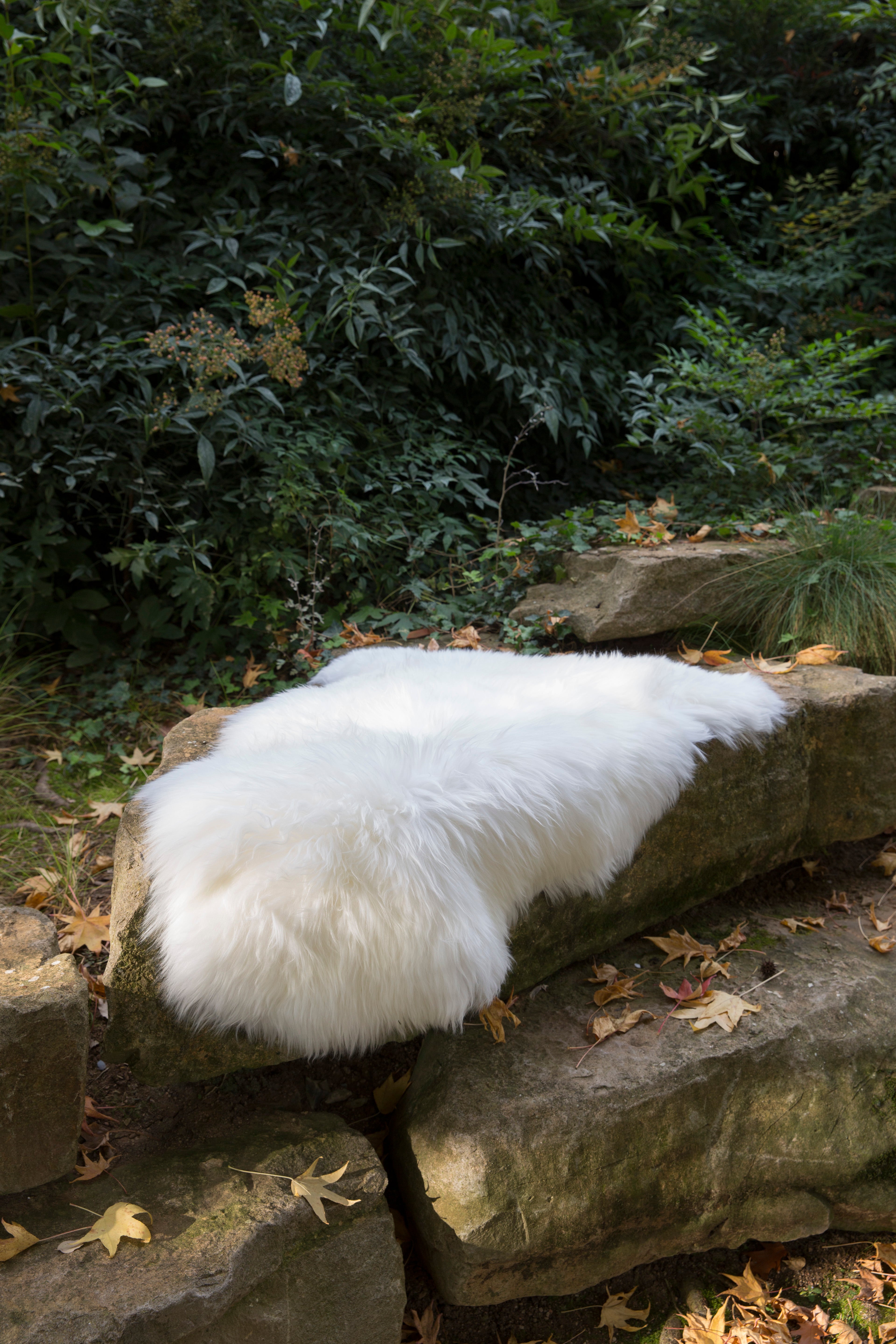 Sheep skin rug, 16