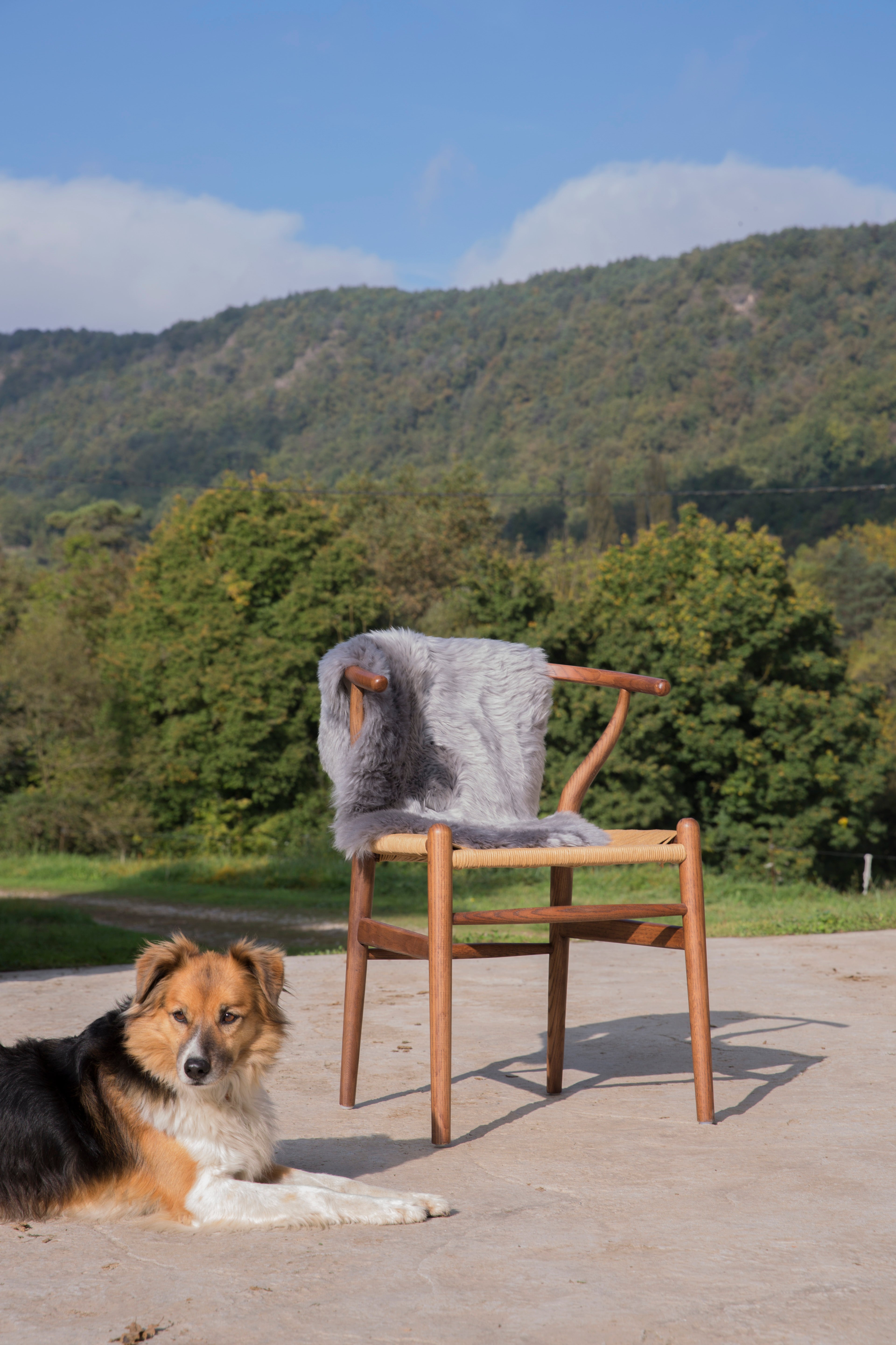 Sheep skin rug, 9