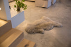 Sheep skin rug, 12
