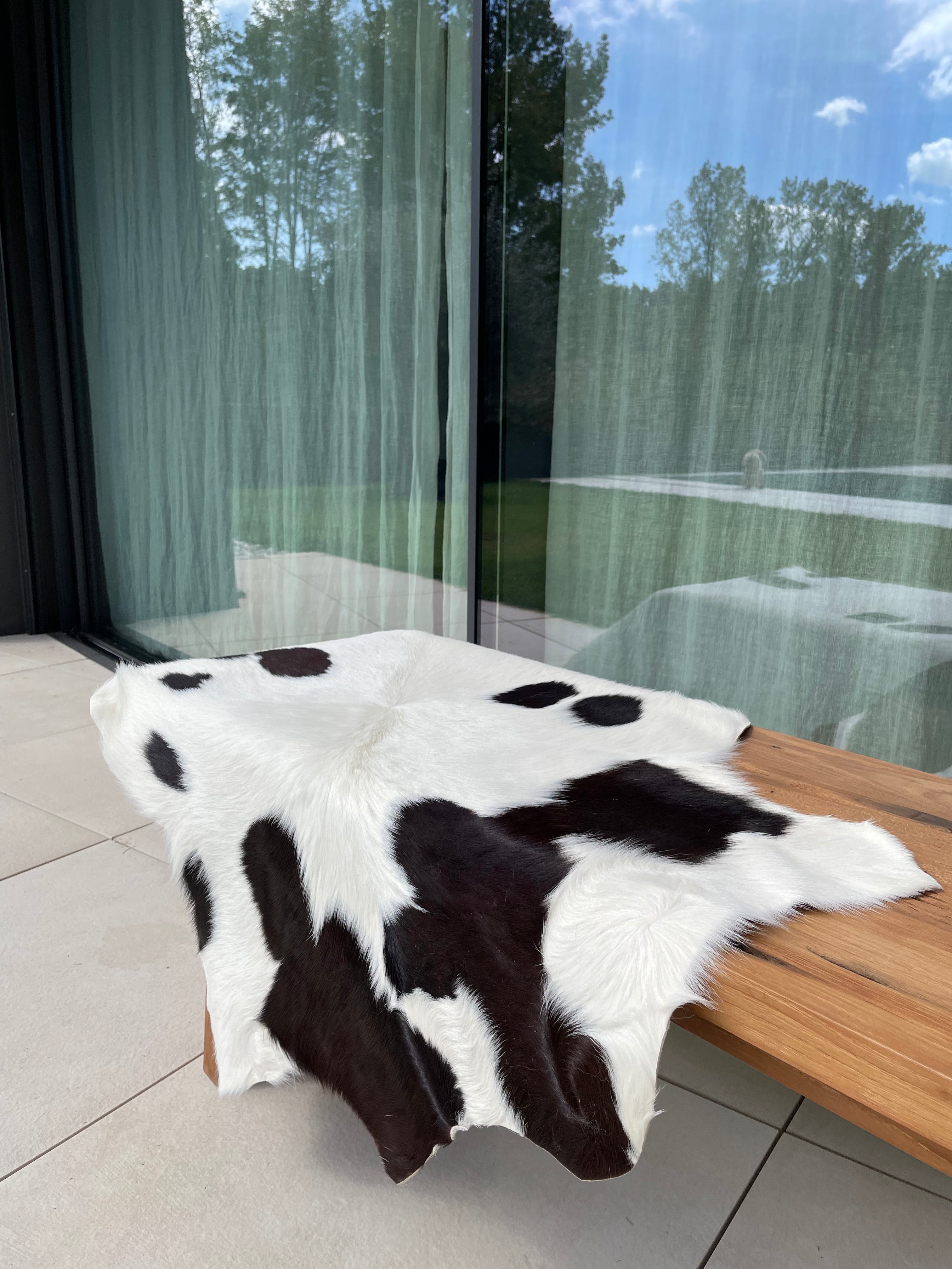 Hair-On Baby Calf Cow