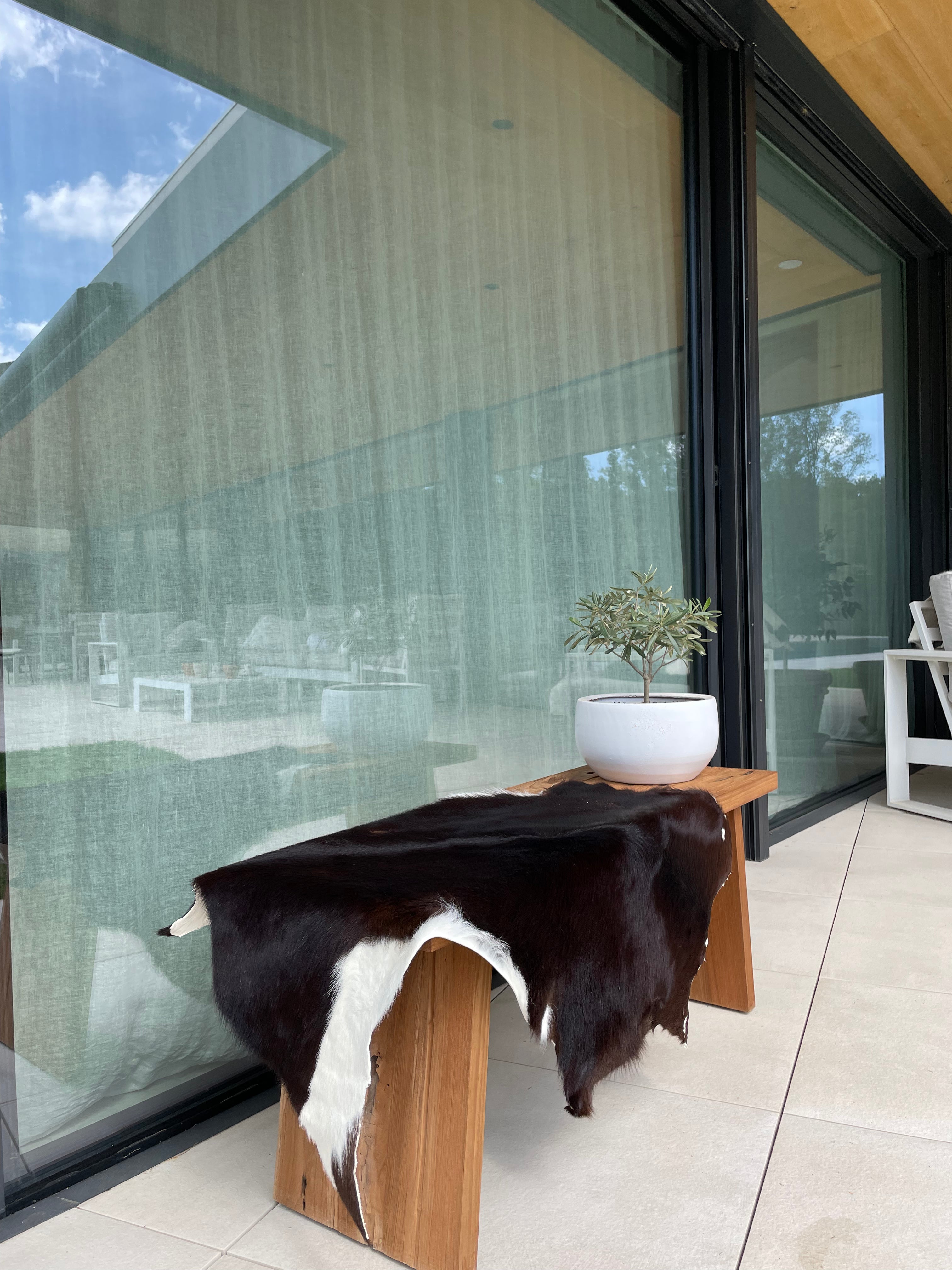 Hair-On Baby Calf Cow