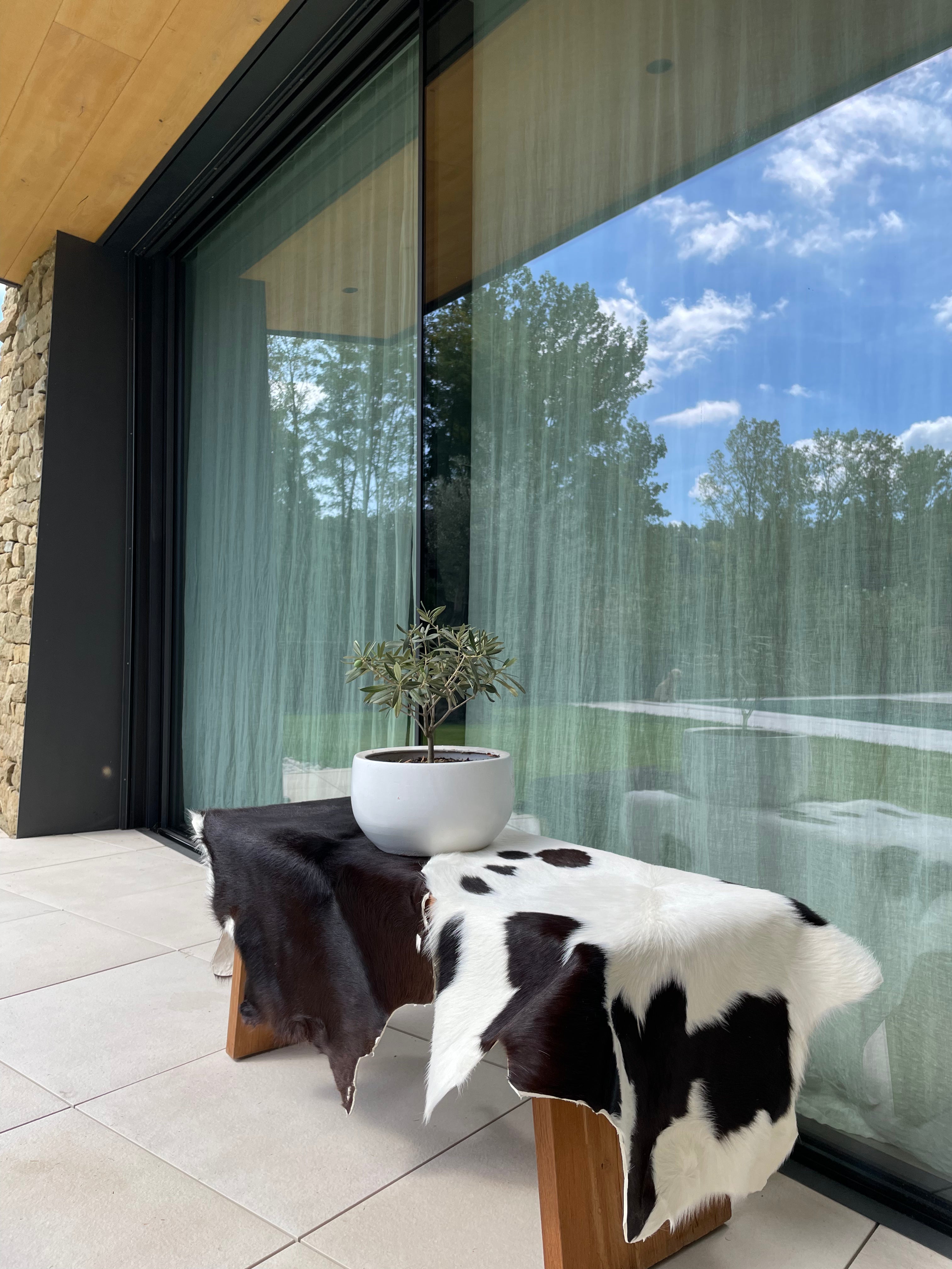 Hair-On Baby Calf Cow