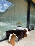 Hair-On Baby Calf Cow