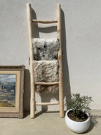 Curly Wool Mixed Tigrado