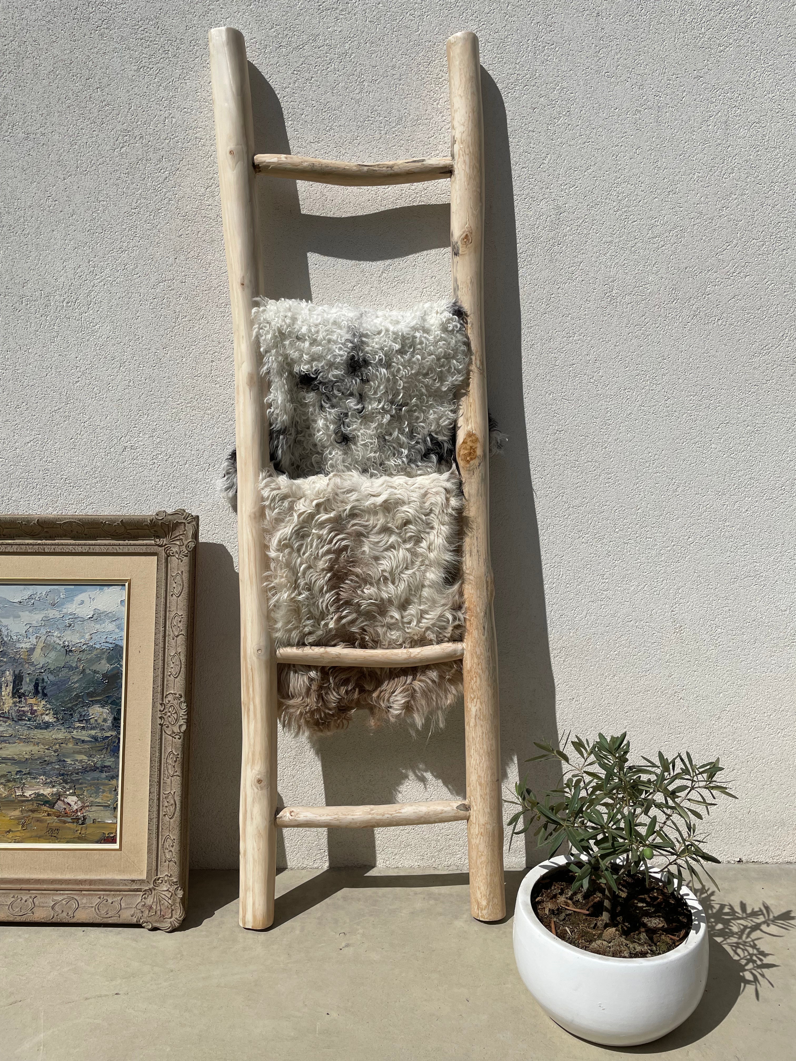 Curly Wool Mixed Tigrado