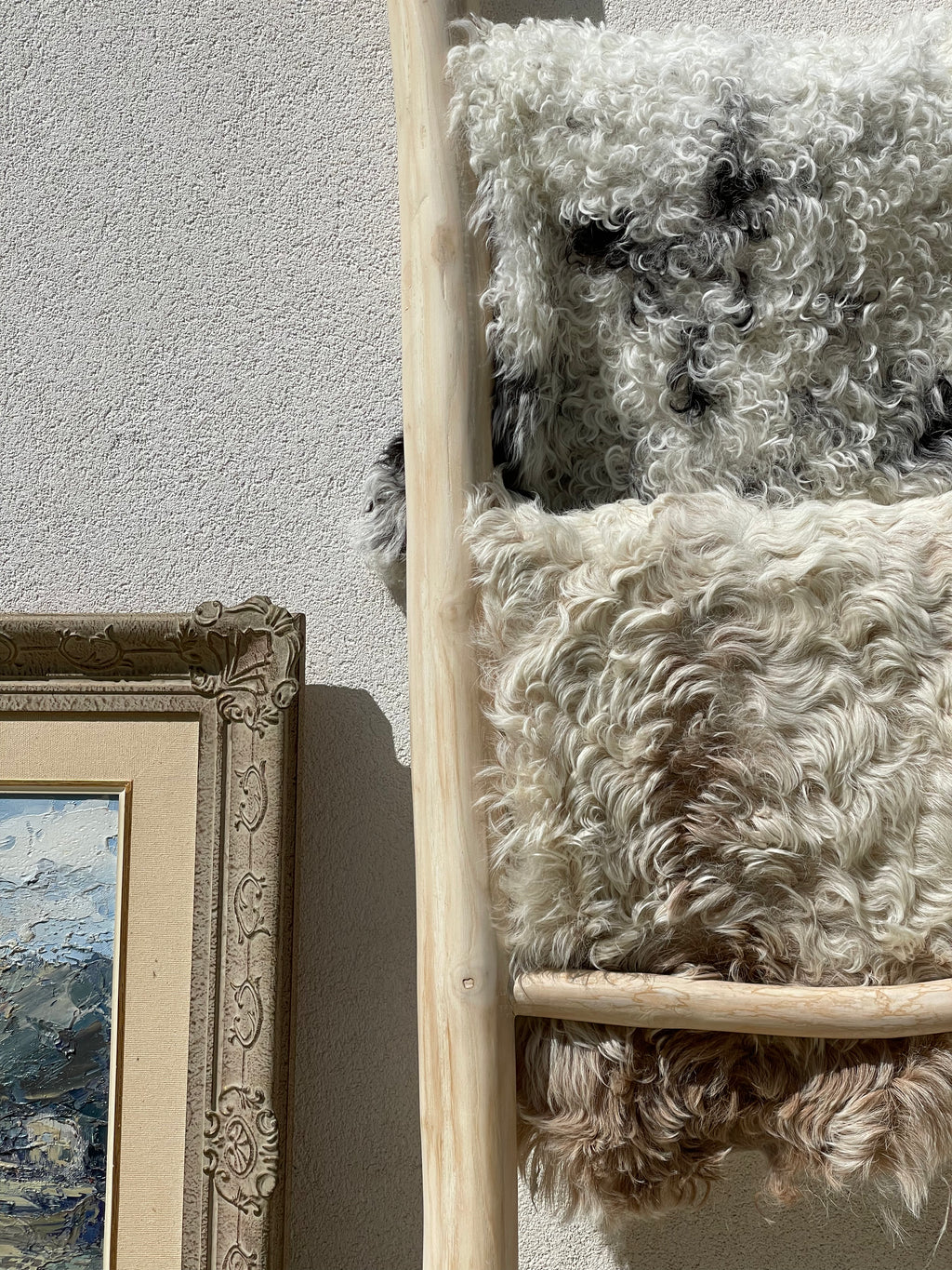 Curly Wool Mixed Tigrado