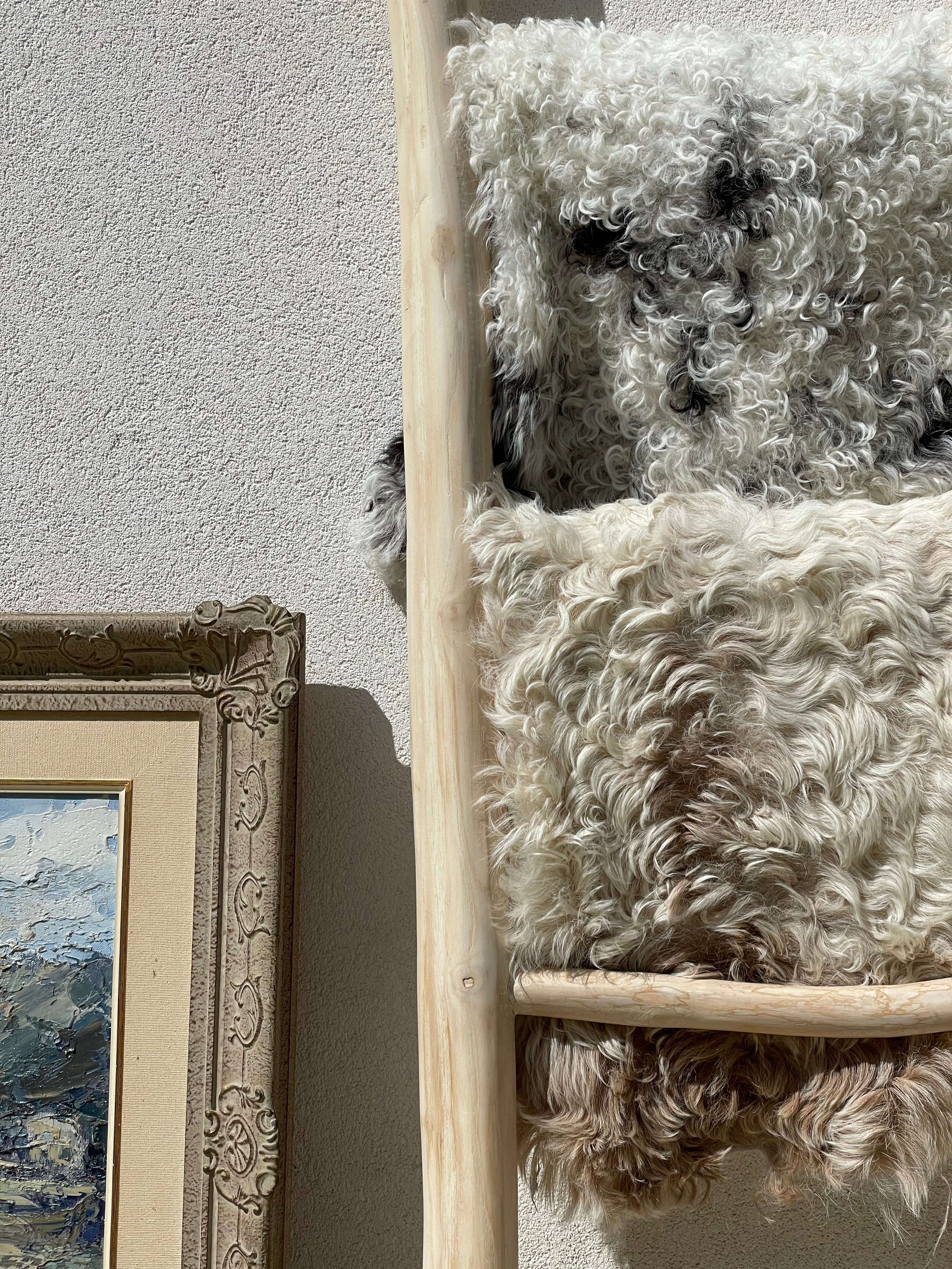 Curly Wool Mixed Tigrado