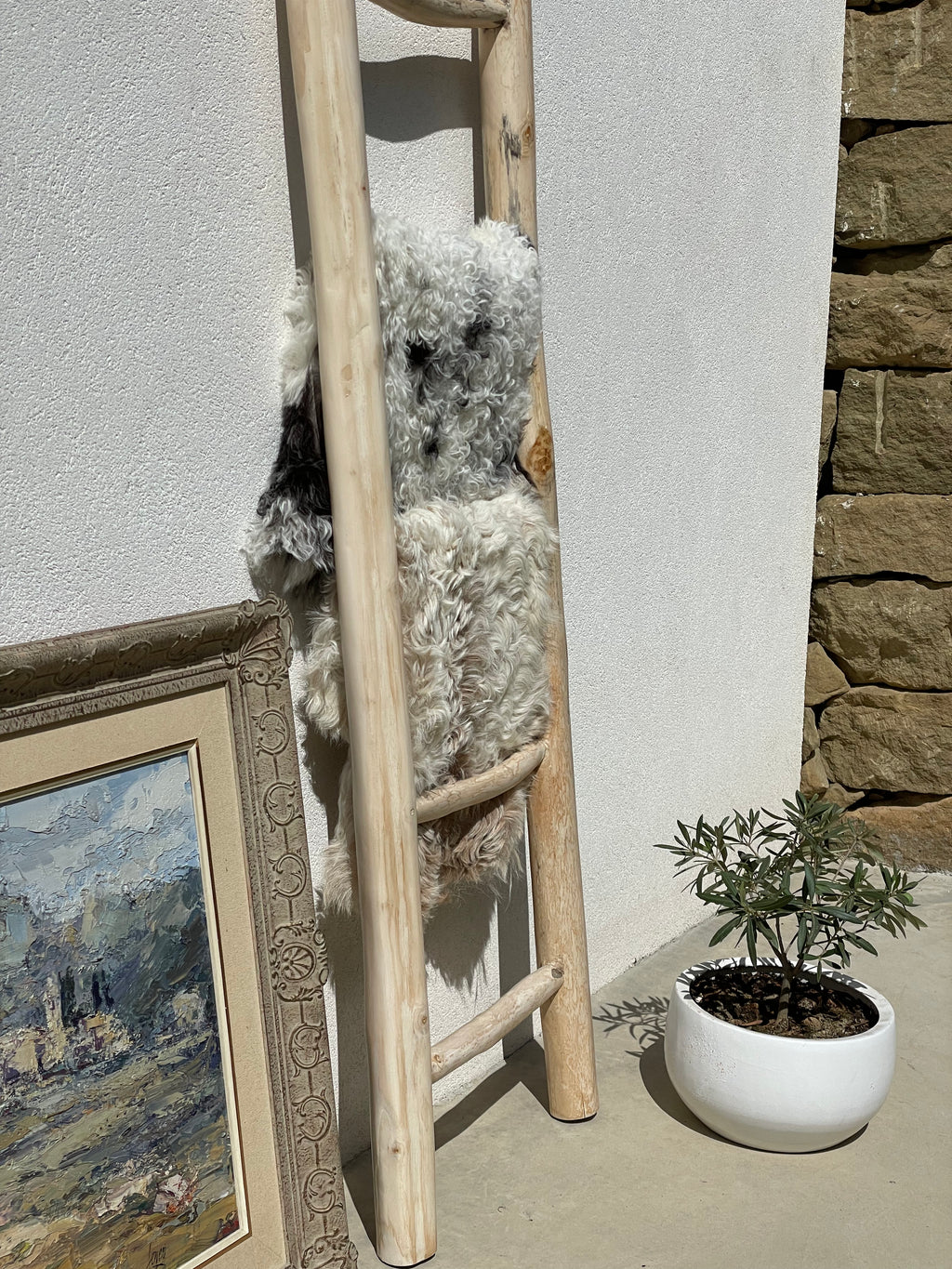 Curly Wool Mixed Tigrado