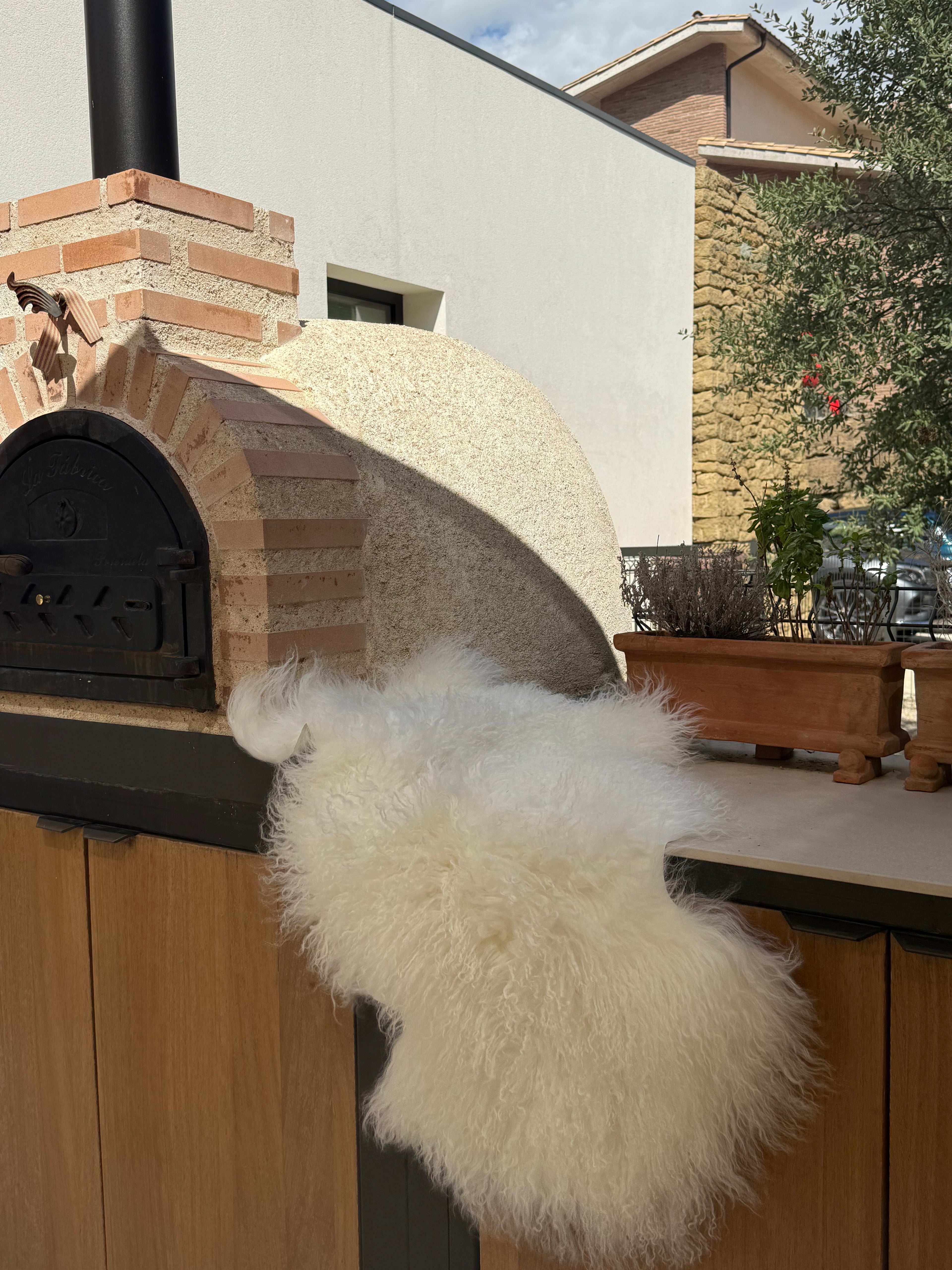Sheep skin rug, 6