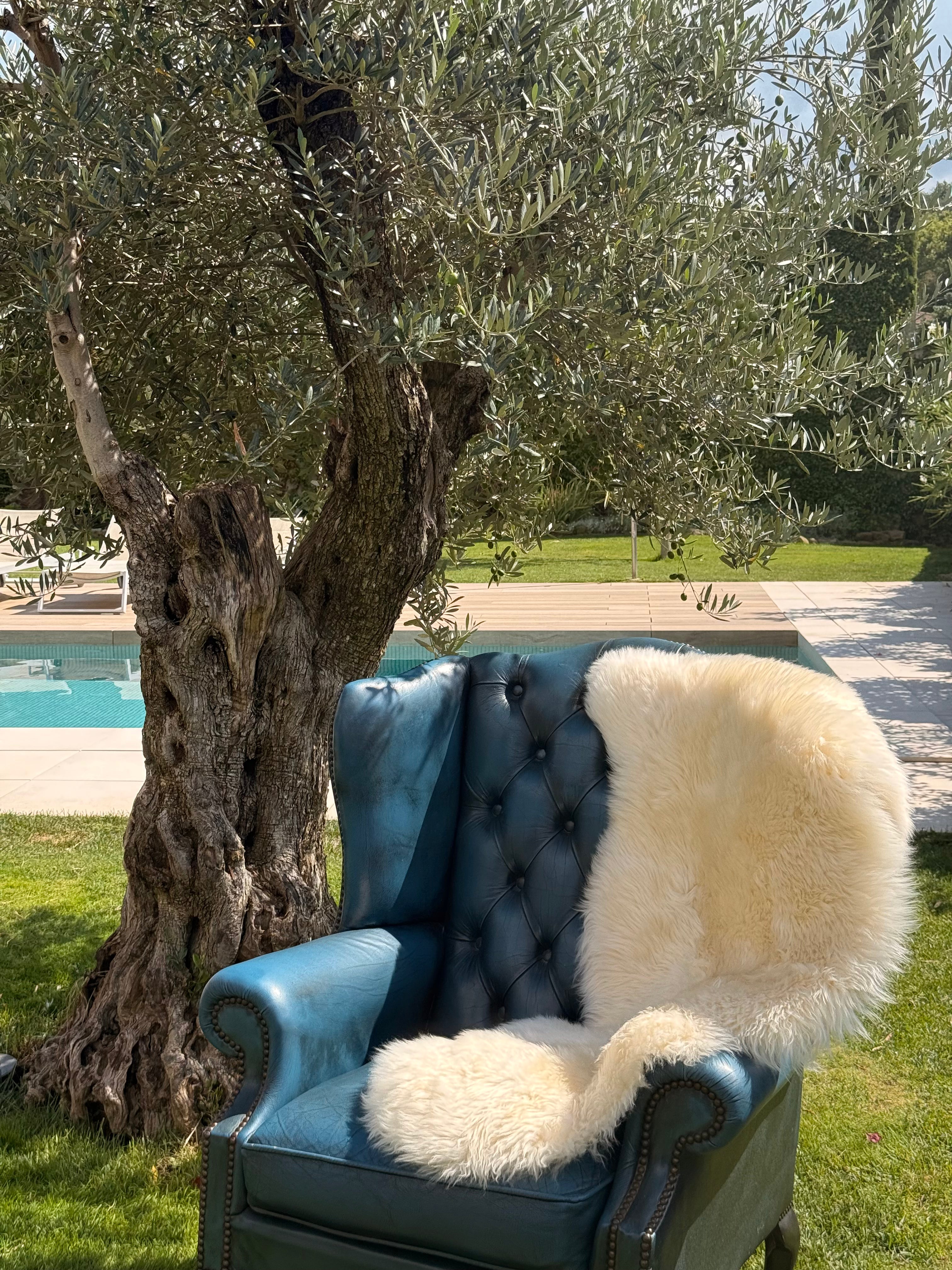 Sheep skin rug, 20